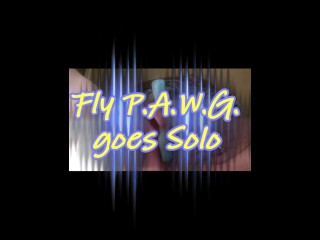 Vlieg P.A.W.G Gaat Solo