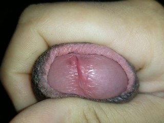 Precum while Playing with my Dick