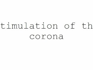 stimulation, masturbation, corona, technique
