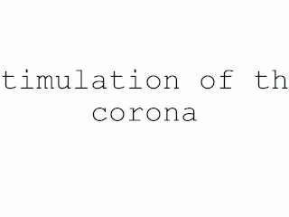 Masturbation Techniques for Men. Stimulation of the Corona.