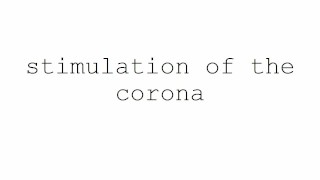 masturbation techniques for men. stimulation of the corona.