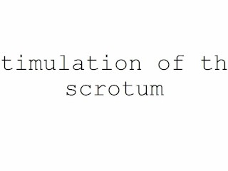 Masturbation Techniques for Men. Stimulation of the Scrotum.