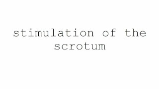 masturbatie technieken voor mannen. stimulatie van het scrotum.