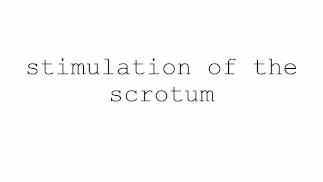 Техники мастурбации для мужчин. стимуляция мошонки.