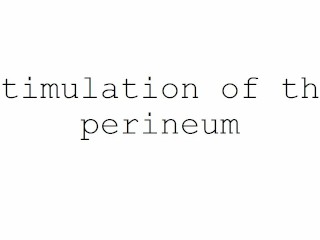 Masturbation Techniques for Men. Stimulation of the Perineum.