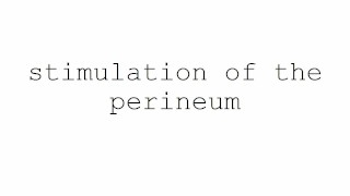 masturbation techniques for men. stimulation of the perineum.