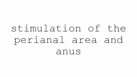 masturbation techniques for men. stimulation of the perianal area and anus.