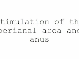 fingering, perianal area, masturbation, anus
