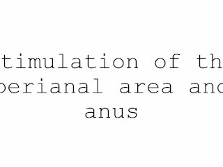 Técnicas De Masturbação Para Homens. Estimulação Da área Perianal e ânus.