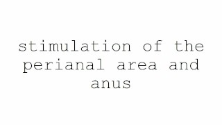 masturbation techniques for men. stimulation of the perianal area and anus.