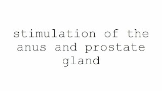 Masturbation Techniques For Men Stimulation Of Anus And Prostate Gland