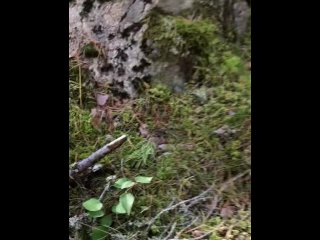 That’s what happens when you really need to pee...