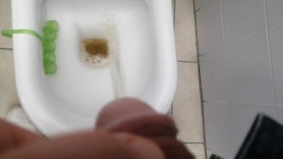 Pissen in openbaar toilet 