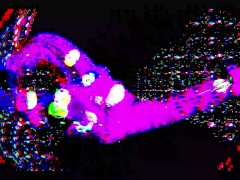 BEINGS OF PURE ENERGY Hypnotic fuck BBC