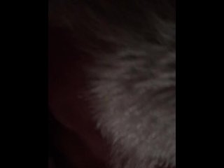 Getting big cock sucked 