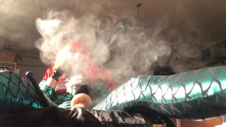 Курящая Алектра No 25