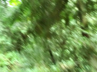 Pissing On Mushrooms )