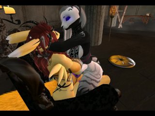 Estella the most beautiful feline