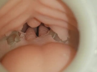Dentro De Una Vagina