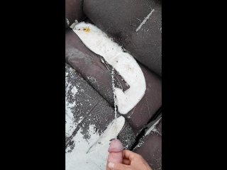 Public piss and cum on an abandoned couch