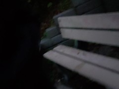 Public Piss On The Park Bench