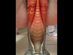 hairy pussy lips grip bad dragon