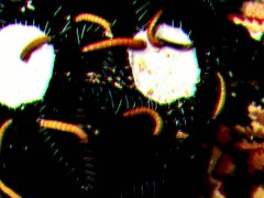 Brain Cocoon - Screenshot 11 of 16 - Masturbate