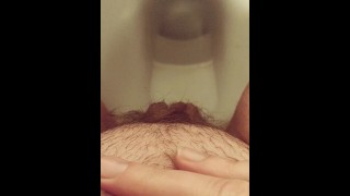 Close-up harig poesje pissen op openbaar toilet na het vasthouden 