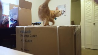 Этого не хватает в вашей игровой комнате или обстановке? - Мини-холодильник NewAir AB-1200B