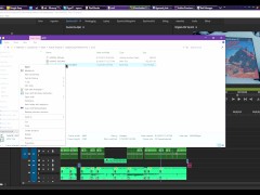 PREMIERE PRO OPTIMIZATION GUIDE -Top 10 Tips How to Optimize Adobe Premiere