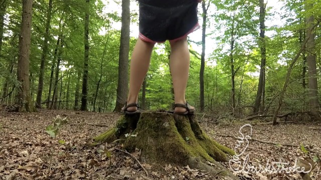 Bushstroke Pissen Im Freien Zusammenschnitt 1