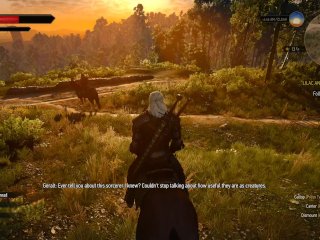 the witcher, lets play, rpg, role play