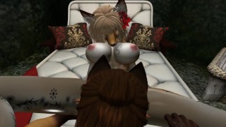 The Desired Meeting ( Furry / Yiff )