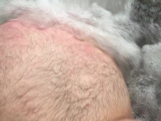 belly jet clip
