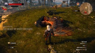 The Witcher 3 Épisode 4 :Griffin mission !