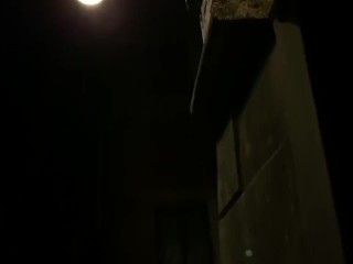 Fuck Horny Slut Pov dans la rue Night Street