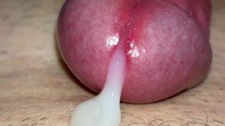 Extreme closeup cumshot