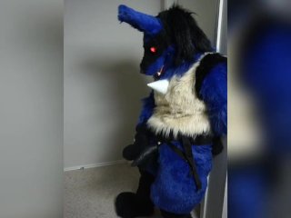 amateur, fursuit, murrsuit, strapon