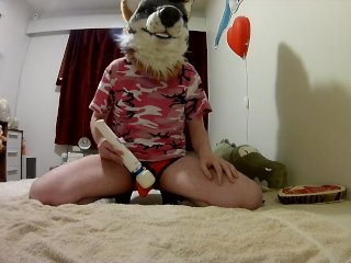 Fox playing with a magic wand