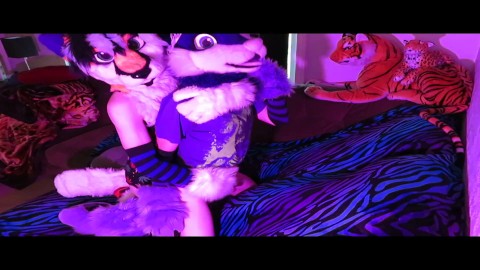 Stazz domming Wuffles (Fursuit Yiff)