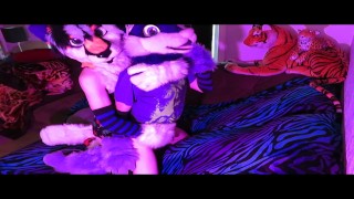 Stazz domming Wuffles (Fursuit Yiff)