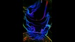 Playlist Thumb 142094762-2