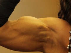 Huge Biceps