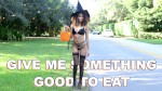 Playlist Thumb 176627741-2