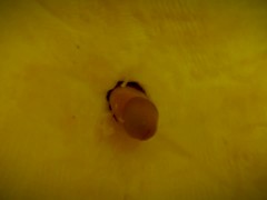 Jack-Her-Lantern - Screenshot 4 of 16 - Petite