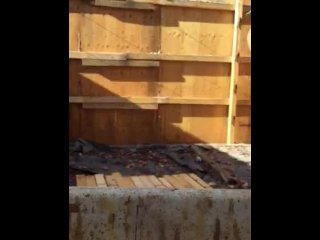 HARD FUCKING_POUNDING AND SCREWING X) part 2