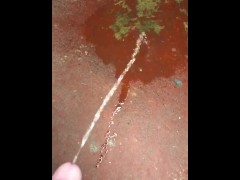 Peeing on the Basement Floor