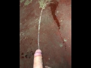 Peeing on the Basement Floor