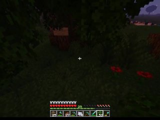 The Hub Episode 10: My_Subscribers Make My_Wood Grow (10th Episode Special)