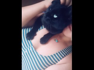sfw my cute kitty blu